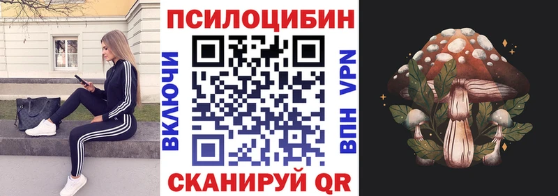 Галлюциногенные грибы Psilocybe  Кулебаки 
