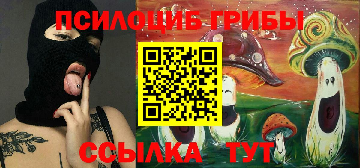 Псилоцибиновые грибы мицелий Кулебаки