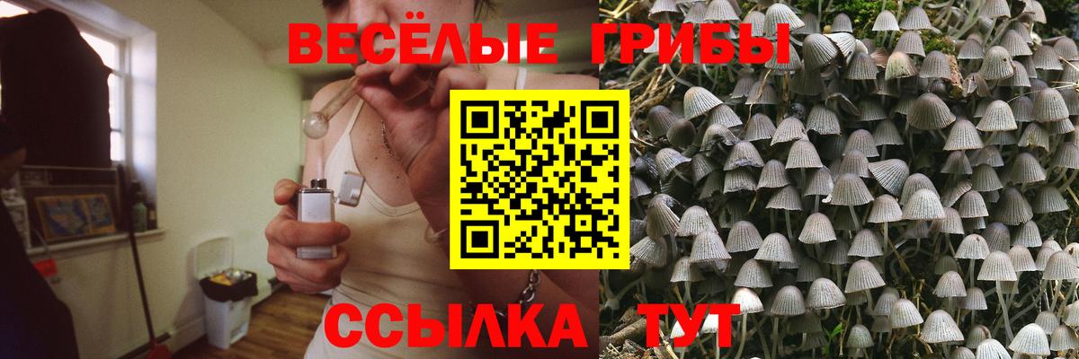 Галлюциногенные грибы Psilocybe  Вход с VPN  Псилоцибиновые грибы Magic Shrooms  Кулебаки 